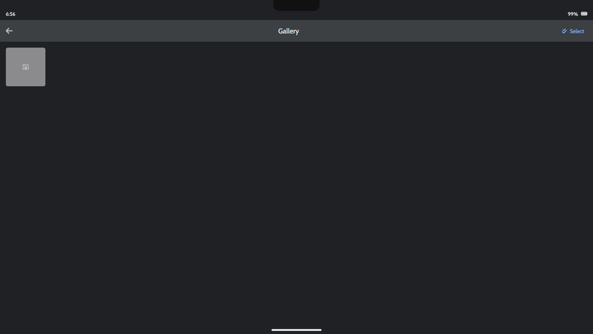 Step 2: Opening the Gallery app within the simulator.