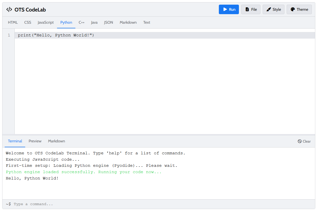 Step 3: Viewing the code's output in the terminal.