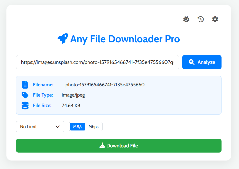 Step 2: The tool analyzing the file to show its name, type, and size before downloading.