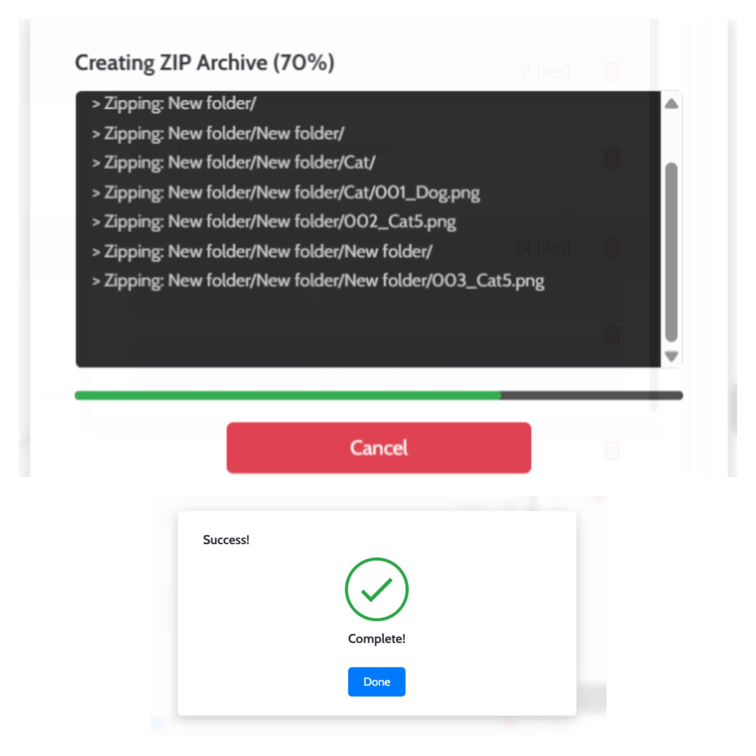 Step 3: Downloading all the renamed files in a ZIP archive.