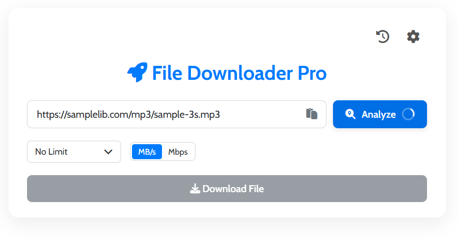 Step 1: Pasting a direct file URL into the input field